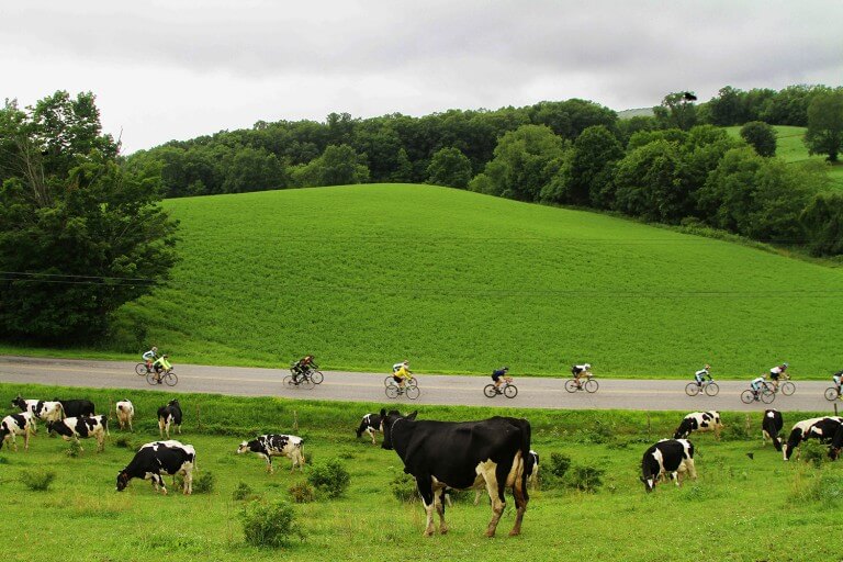 Sign Up for the Great Farm to Fork Fondos in 2016