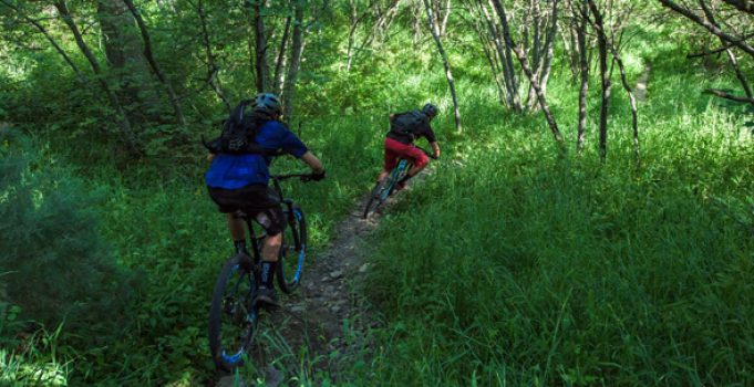 A Roadie’s Guide to Buying a Mountain Bike