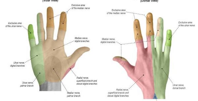 Causes and Solutions to Numb Hands While Riding a Bicycle